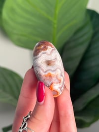 Image 4 of MEXICAN LACE AGATE SHIVA N