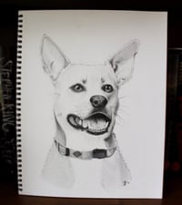 Image 8 of Custom Pet Portraits