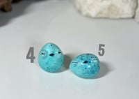 Image 3 of Songbird Eggs
