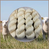 Image 1 of Nudes - Lace Weight