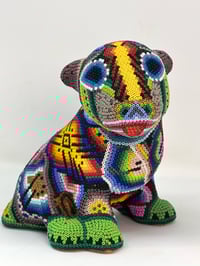 Image 1 of Bull Terrier