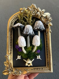Image 1 of Inky cap frame led