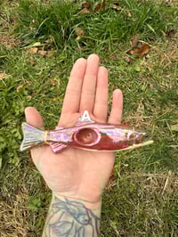 Image 3 of Trout -SECONDS