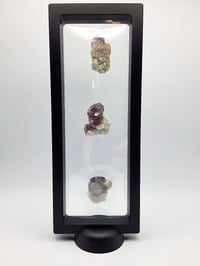 Image 9 of Set of 3 Octahedral YGX Fluorite & Candle Quartz with 9" Display - 4 Styles