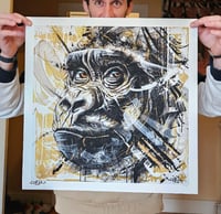Image 2 of Print "Gorilla"