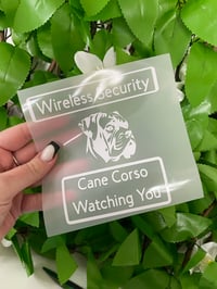 Wireless Security- Customised