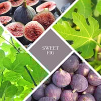 Image 2 of Recycled Glass - Sweet Fig Soy Wax Candle