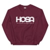 Hosa CPHS