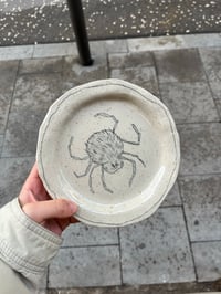 Image 2 of plato araña