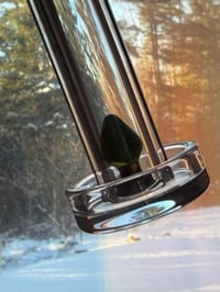 Image 2 of Festive Plug XL Pearl 