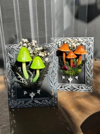 Image 1 of Small silver led mushroom frame