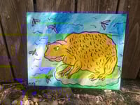 Image 6 of Yellow Frog