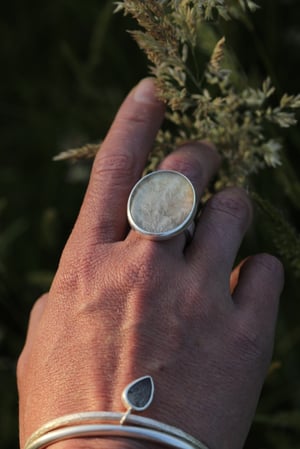 Image of Moss collector ring