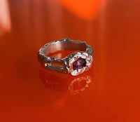 Image 2 of Sensibilité 2 - Collection Velours