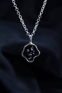 Image 2 of Metamorfosi Limited Edition