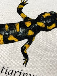 Image 4 of Pochette TIGRINUM