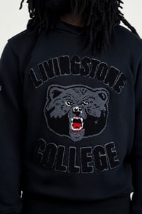 Image 4 of Livingstone Home Team Fleece Hoodie