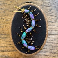 Image 4 of Centipede (a, 4x5 inches)