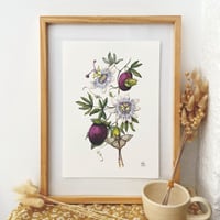 Image 1 of passionfruit & moth A4