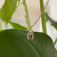 Image 2 of Anya's Good Luck Charm