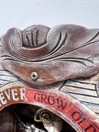 Image 6 of Never Say Never - Michelle Tock York