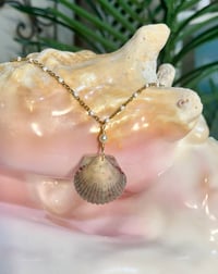 Image 2 of Scallop Shell Necklace N205