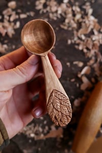 Image 2 of Falling Leaves  Scoop 