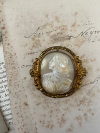 Image 1 of Magnifique camée en coquillage, 19eme siècle.Profil féminin, broche grande taille (4,7x5,5cm)