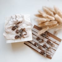 Image 8 of Vintage Roses - Coco