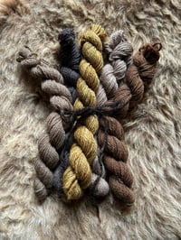 Image 1 of Mini Bundle #8 - 100G Hand Dyed Kent Romney Mini Skeins