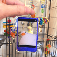 Image 1 of Birb selfies | clear charms