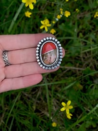 Image 2 of Coral & Feather Ridge Plume Agate~Made to Size