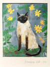 A5 print -Siamese cat 