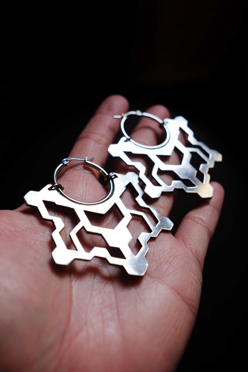 Image of Jali earrings