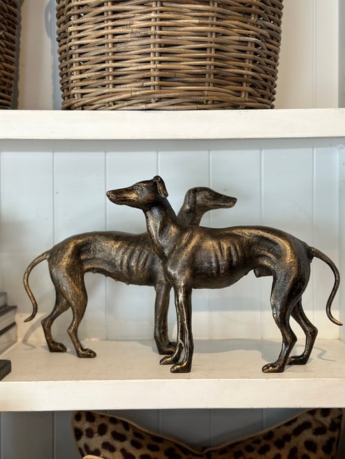 Image of Whippet Pair 