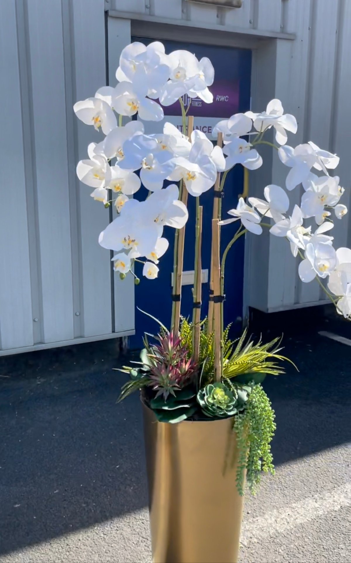 Image of NEW! Lux extra tall floor standing orchids 