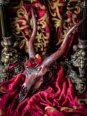 Crimson Quartz & Carborundum- Blackbuck Skull