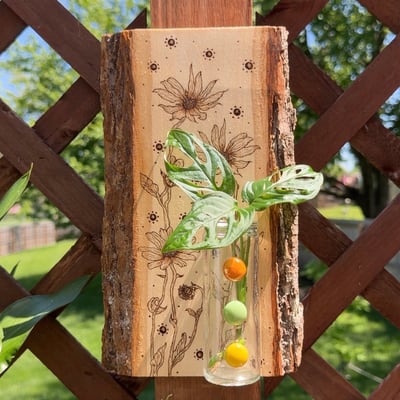 Image of sun seeker propagation station wood art