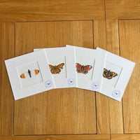 Image 1 of Various 9x9 Butterfly Giclee Prints