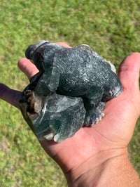 Image 14 of Platypus Fluorite Carving #2919
