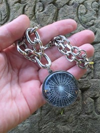 Image 2 of Spiked - Arachne Chain - preserved web  D