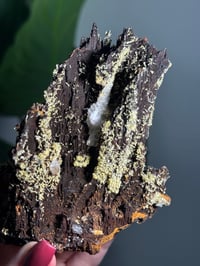 Image 3 of SELF STANDING ONE OF A KIND MIMETITE -MEXICO-