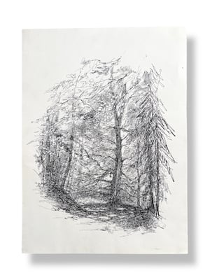Image of VINTAGE DUTCH DRAWING: LANDSCAPE #15