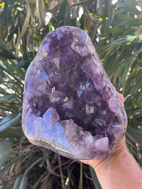 Image 12 of Amethyst Points Cluster With Polished Edges #1574
