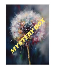 Image 1 of mystery Box 