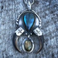 Image 1 of Labradorite and porcupine claw