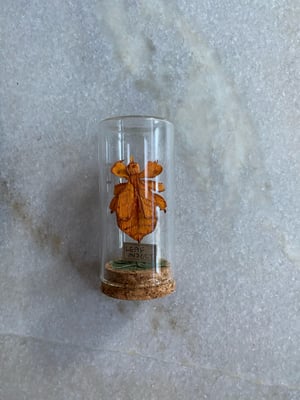 Image of Leaf Insect “Orange “ mini faux taxidermy paper specimen 