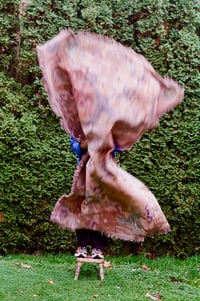 Image 6 of The Fire of Life