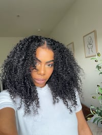 Image 2 of 20 inch KINKY CURLY 360 LACE WIG with 4c KINKY EDGES 