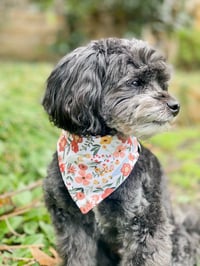 Image 1 of Fall Flower Dog Bandana